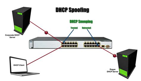 dhcp snooping enable